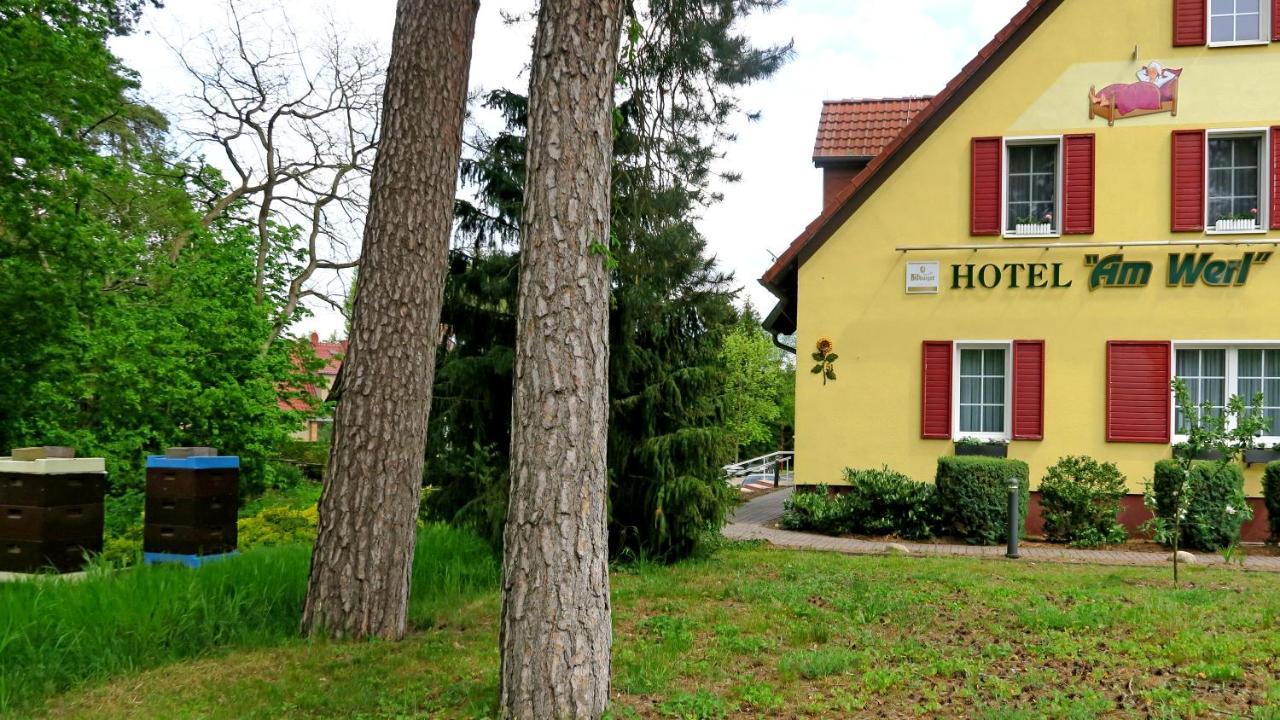 Hotel "Am Werl" Bad Saarow Luaran gambar